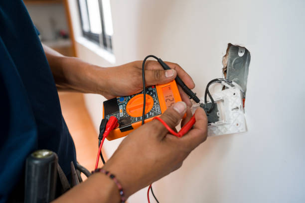 Best Electric Panel Repair  in Ten Mile Run, NJ